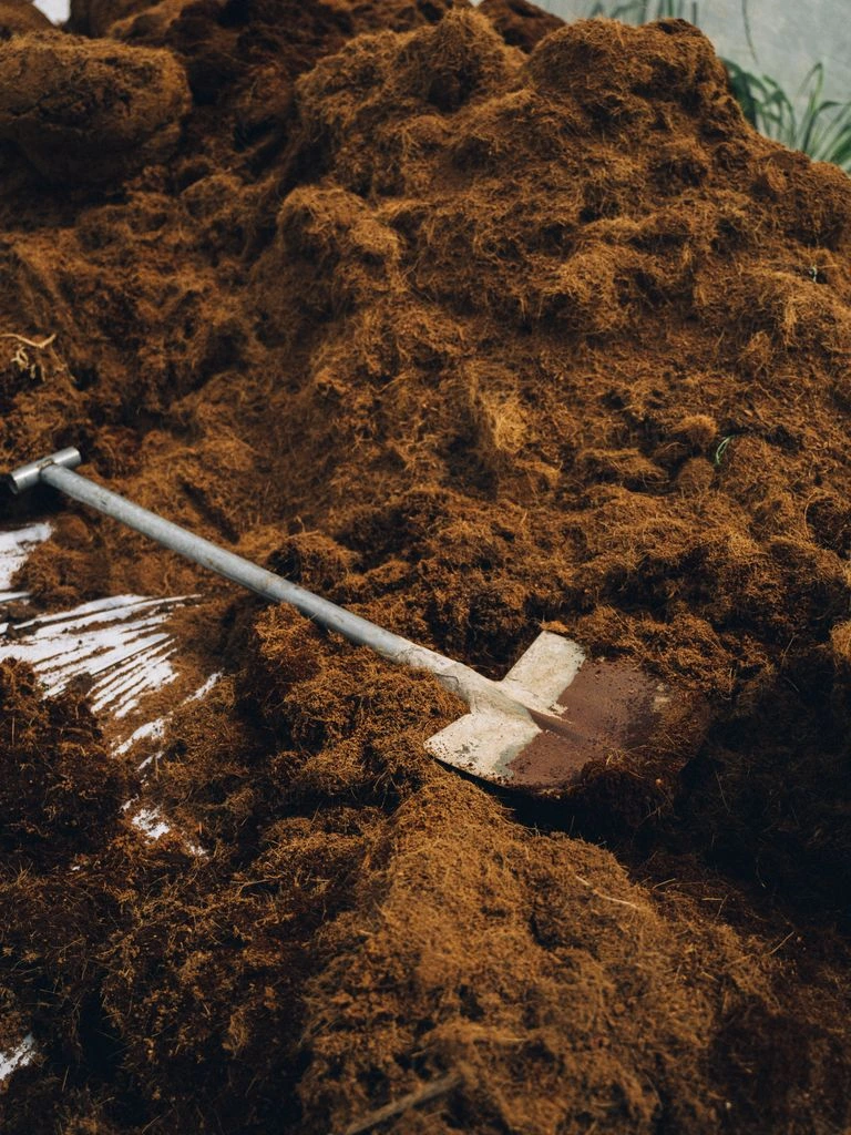 The farm's autumn compost windrow, turned weekly from November to March.